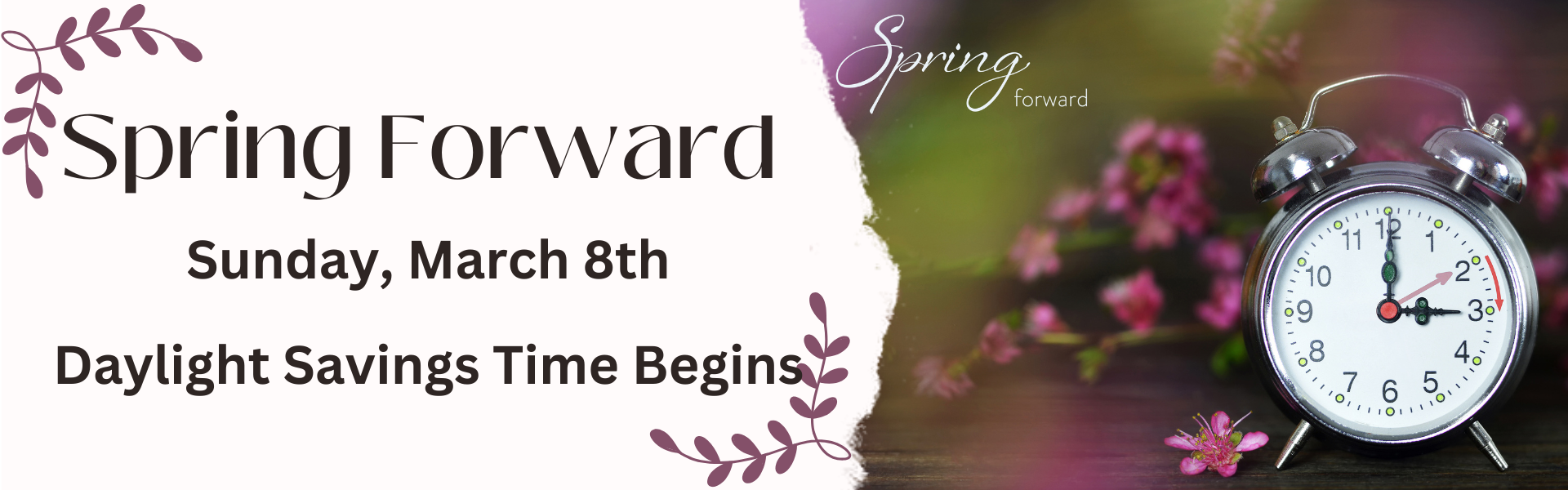 Daylight Savings time begins - spring forward