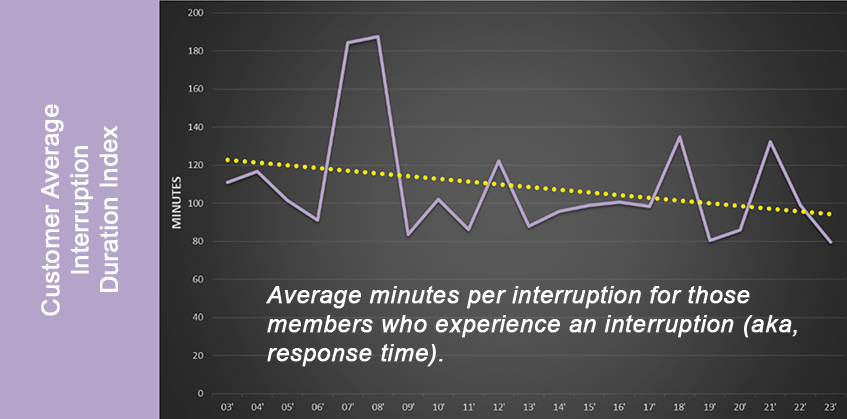 Customer average interruption index